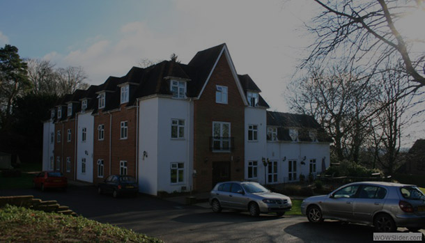 Wessex Lodge Nursing Home, nursing home in Whitchurch