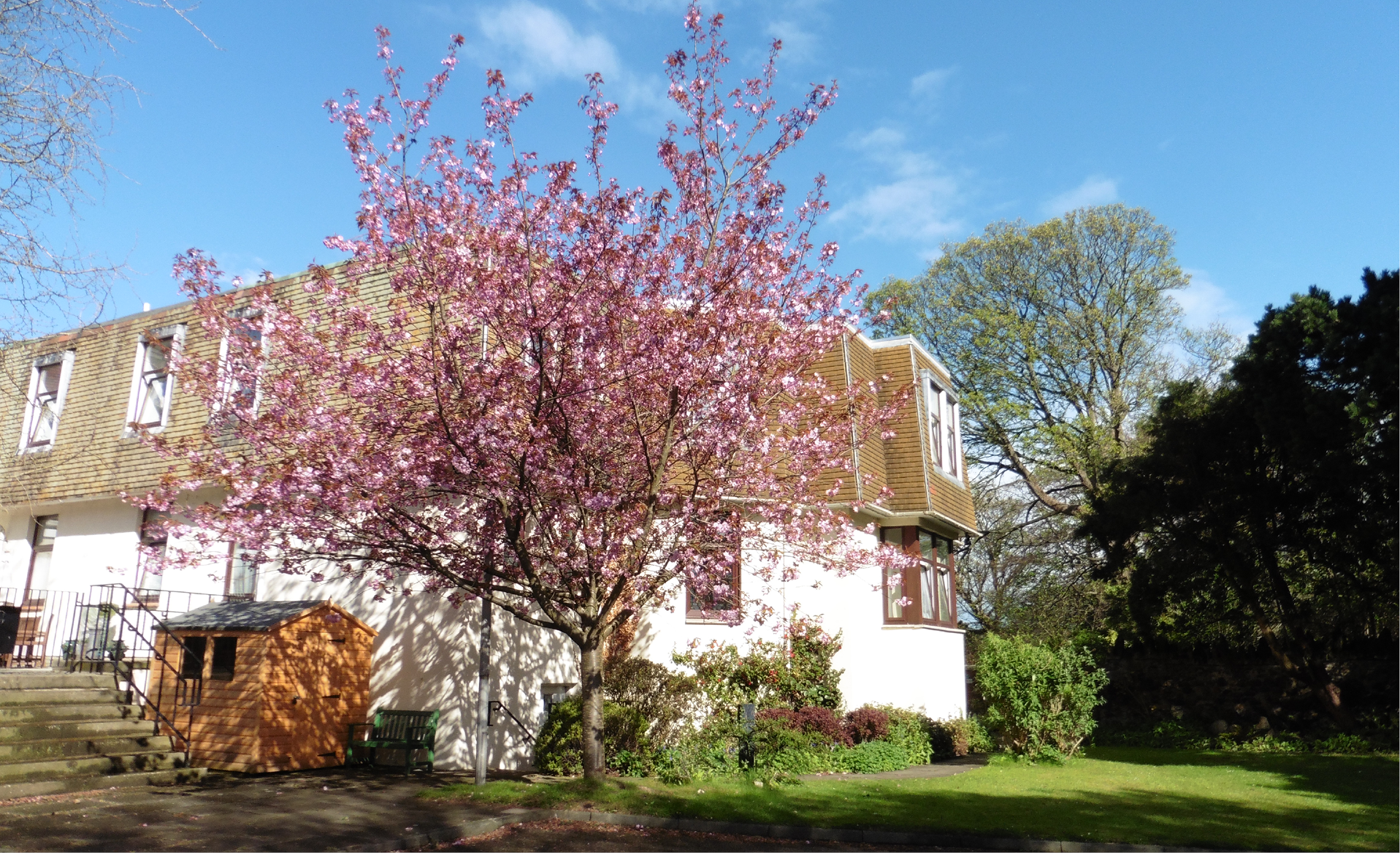 Queens Bay Lodge Care Home, residential care home in Portobello