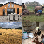 Gouldings Resource Centre, residential care home in Freshwater